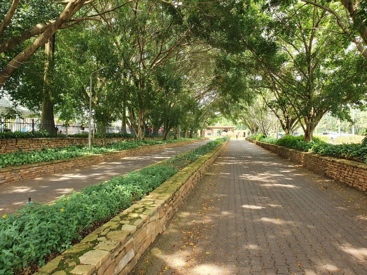 the street has many trees in it, along with plants