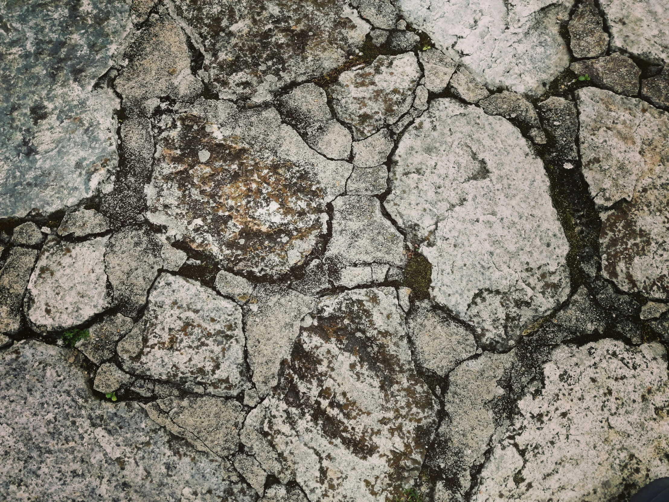 the texture of some cement with moss growing on it