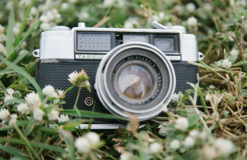 an old camera with white flowers next to it