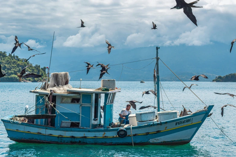 a man standing on a fishing boat near a flock of birds