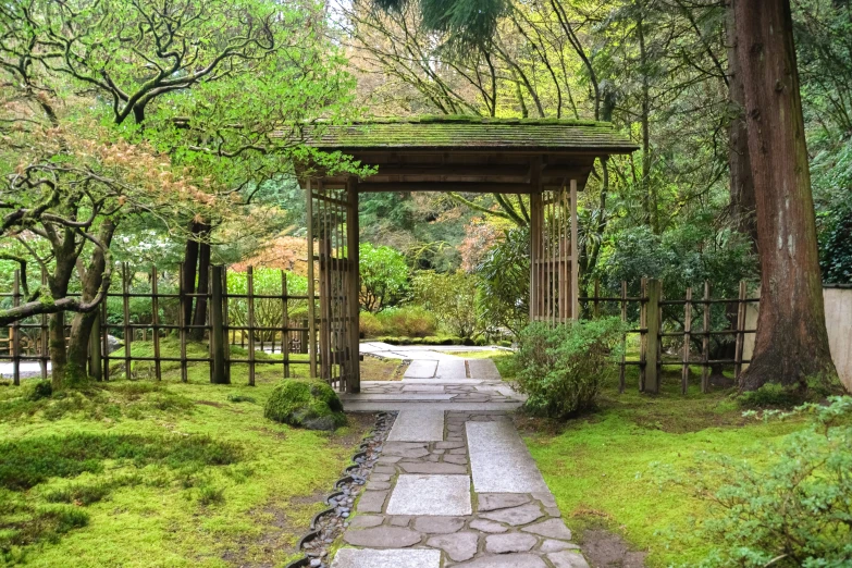 a very nice walkway in a pretty park