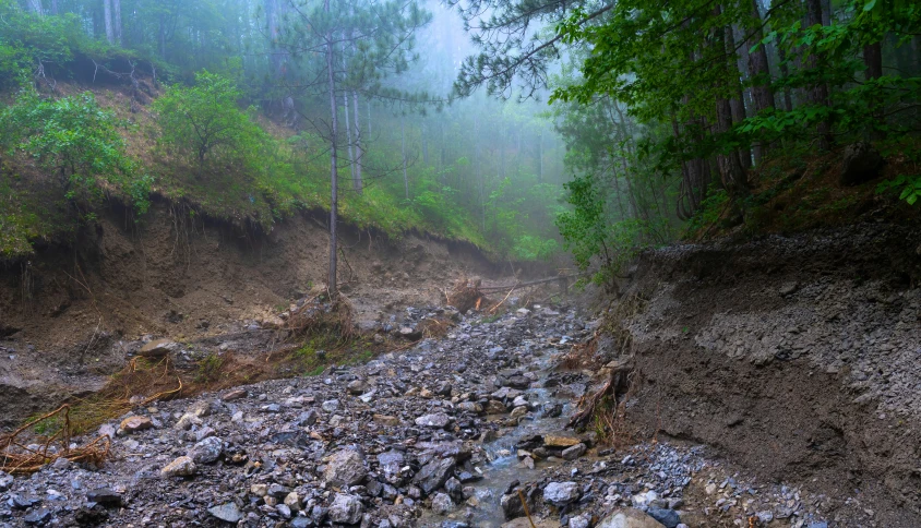 the road is full of rocks, rocks and trees