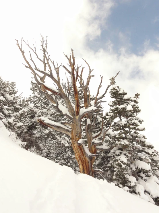 a man riding skis down the side of a snow covered slope