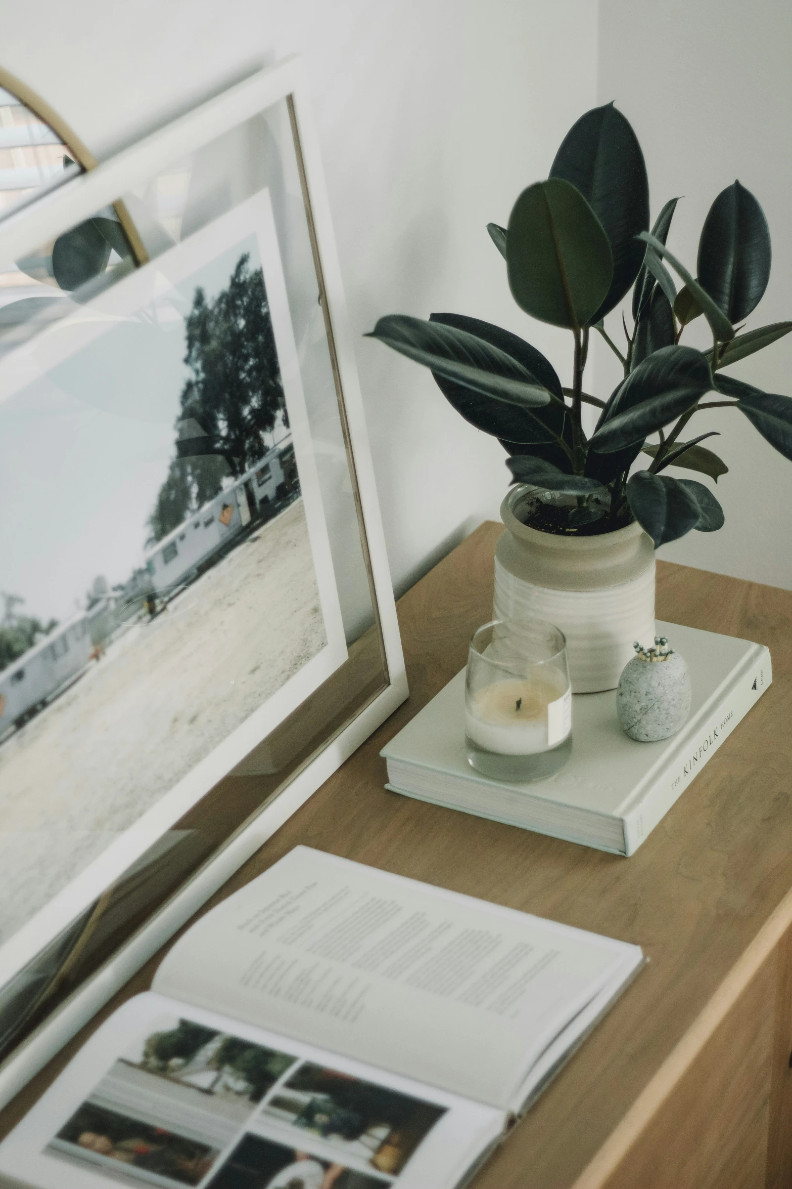 a plant sitting on top of a wooden table