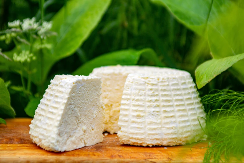 cheese on top of wooden board with greens in background