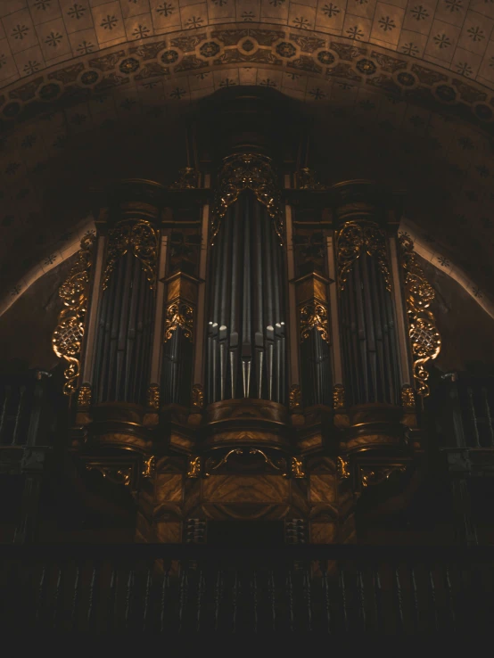 an ornate pipe organ is seen in this po