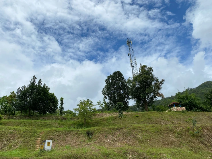 a view of the top of a green hill in front of blue skies and trees