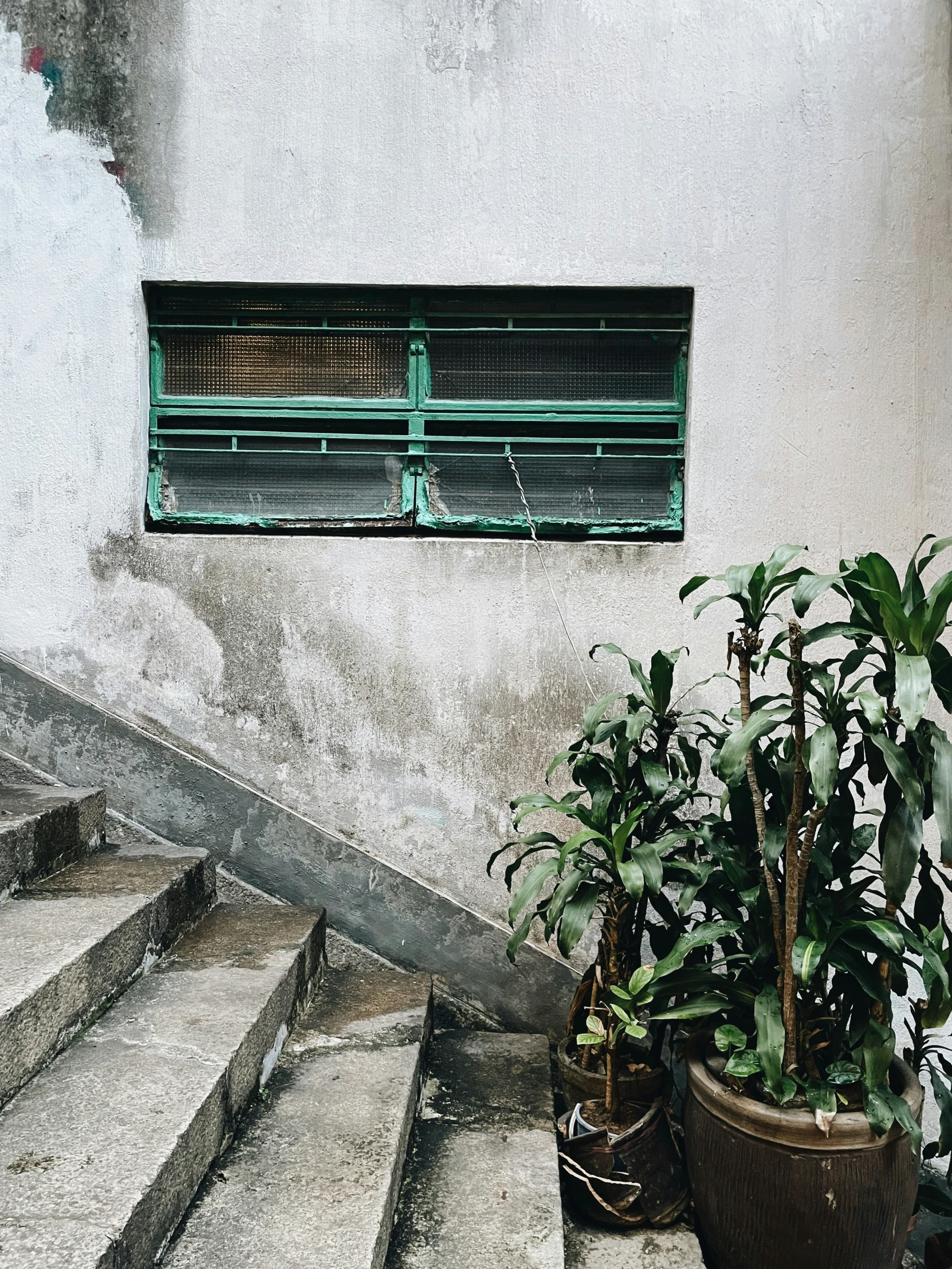 a green shuttered window and some potted plants on the steps