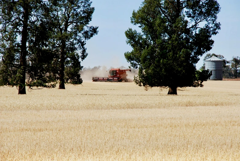 there are three trees in the field next to this truck