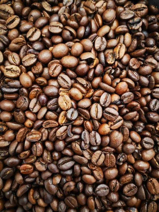 a bowl filled with brown coffee beans