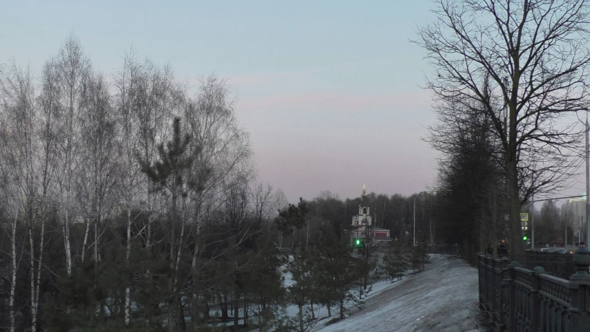 a road is in the background with trees and a street light