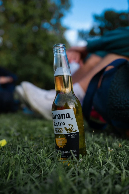 a bottle of corona beer on the ground