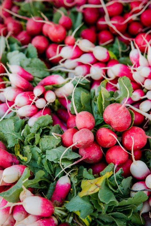 closeup image of radishes and greens in pile on display