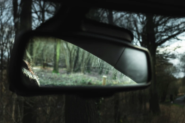 a mirror on the back of a vehicle showing trees