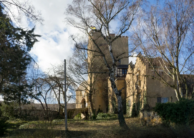 a brown castle in the middle of a park