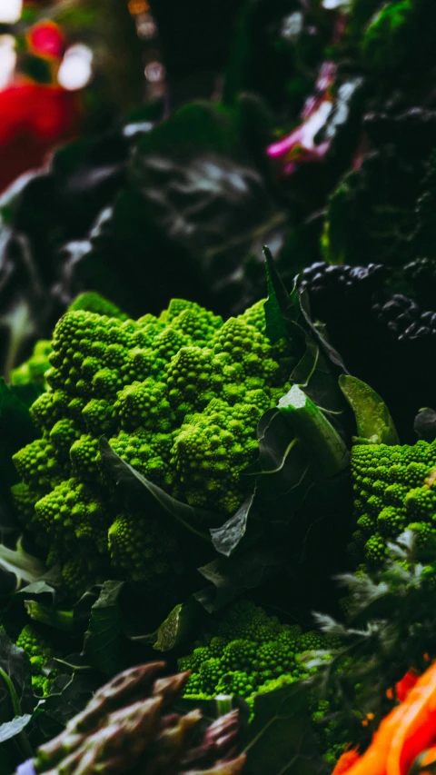 closeup of a bunch of broccoli on the market