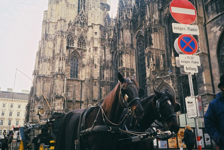 two horses hitched to a carriage in front of some huge buildings