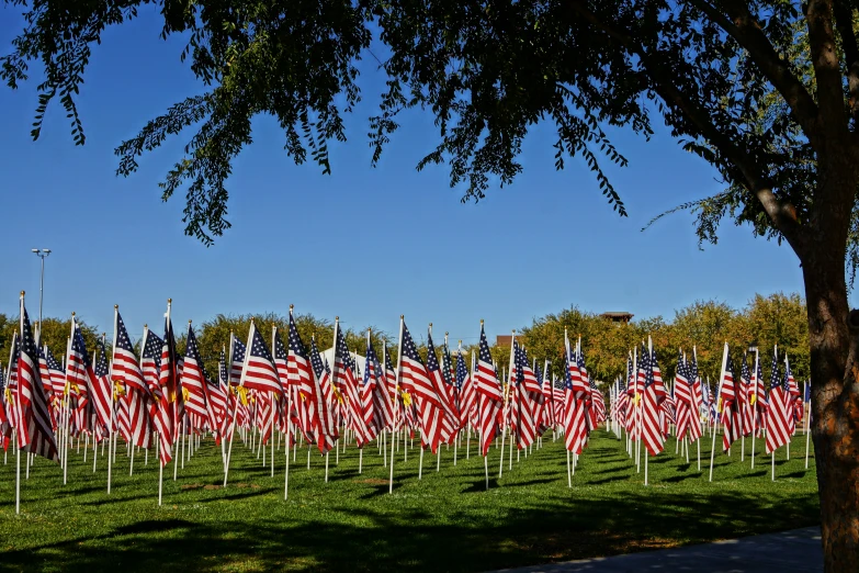 many small american flags in the grass