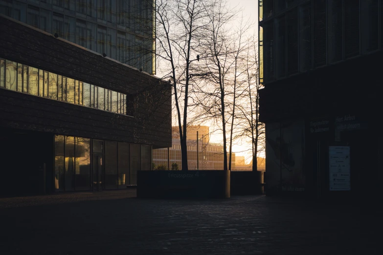 a quiet city street with tall buildings at sunset