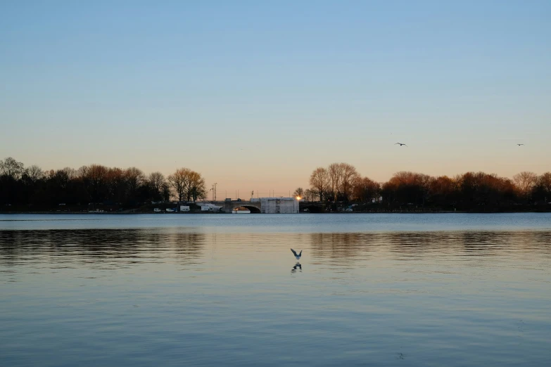 a body of water with trees in the background