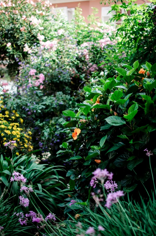 the building and garden area is covered by green, pink, yellow, and white flowers