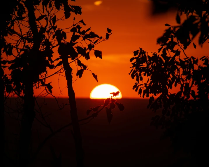 the sun is setting behind some trees in the woods