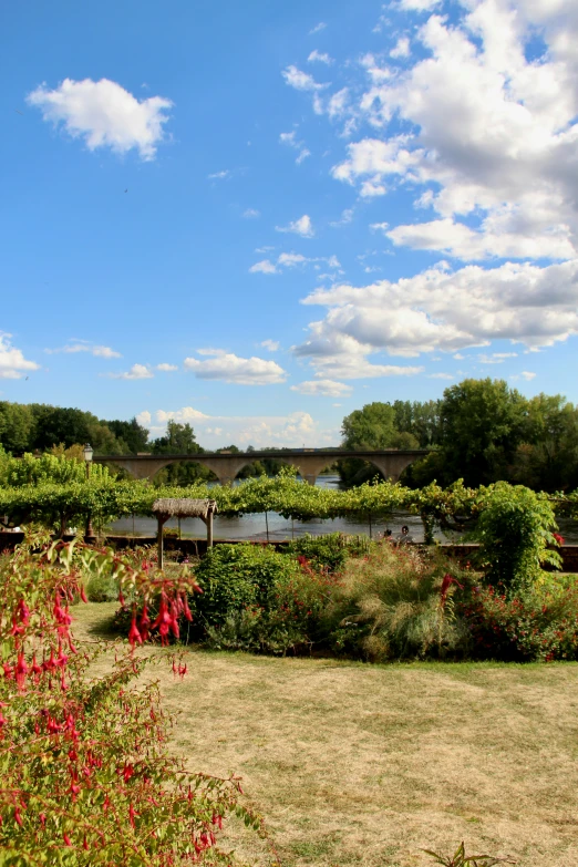 plants and flowers surround a very grassy area