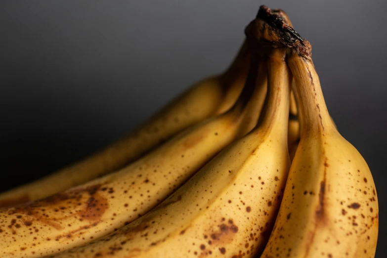 bunches of bananas are arranged in a close up