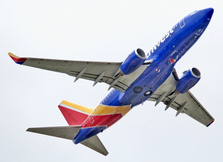 the colorful airplane is in the air with its landing gear down