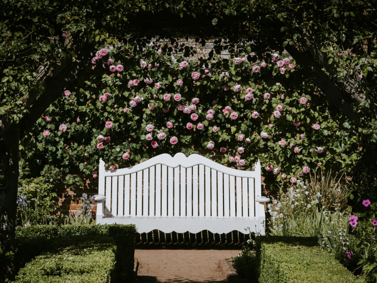 a bench sitting in front of a lush green hedge