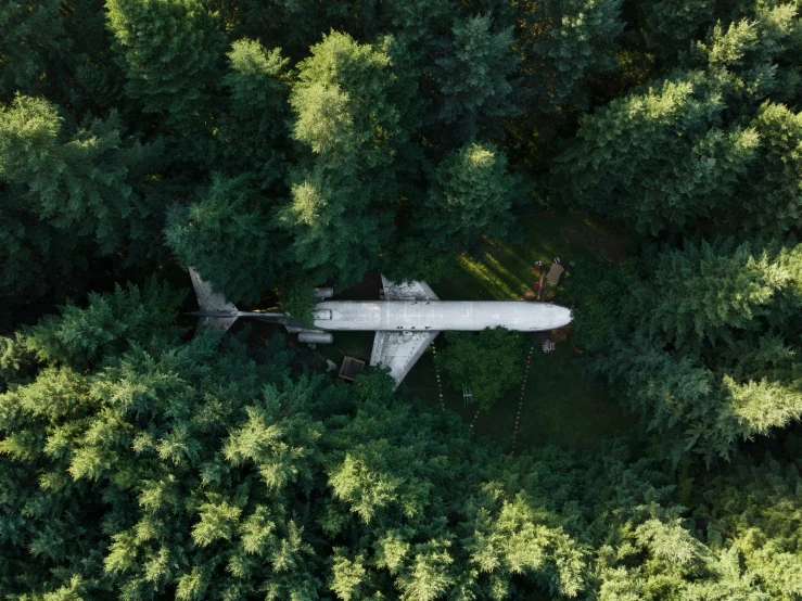 an aerial s of an airplane in the trees