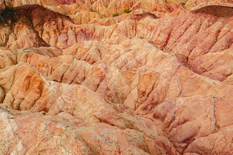 the rocks are very unique with a green tree in the center