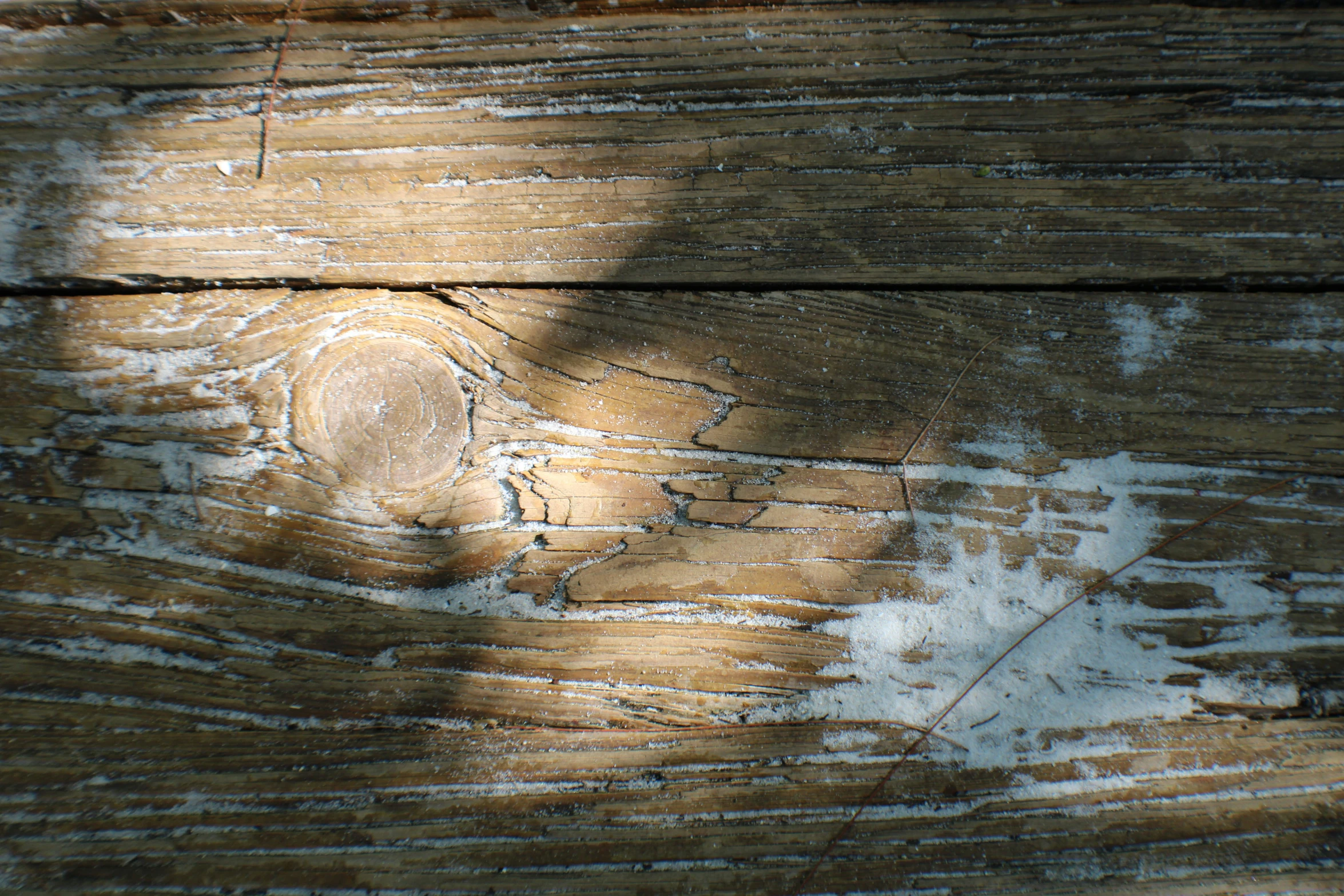 the grain on the wood shows only the s in the wood