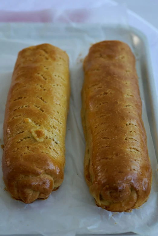 two large long dogs wrapped in plastic paper