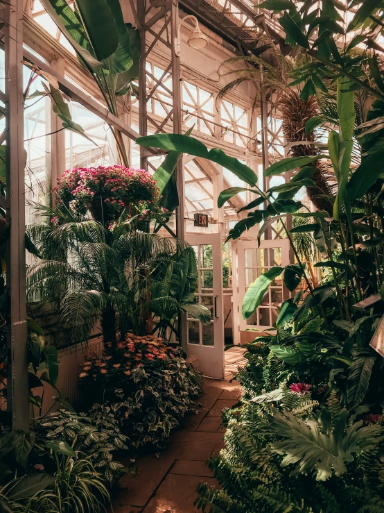 large, well kept green house with lots of greenery in the center