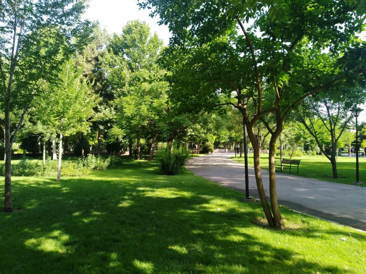 a park with several trees and benches on it