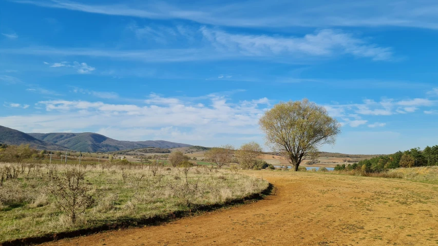 an empty road that goes into the distance