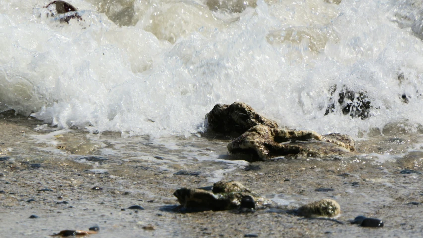 waves splash against the rocks of a shore line