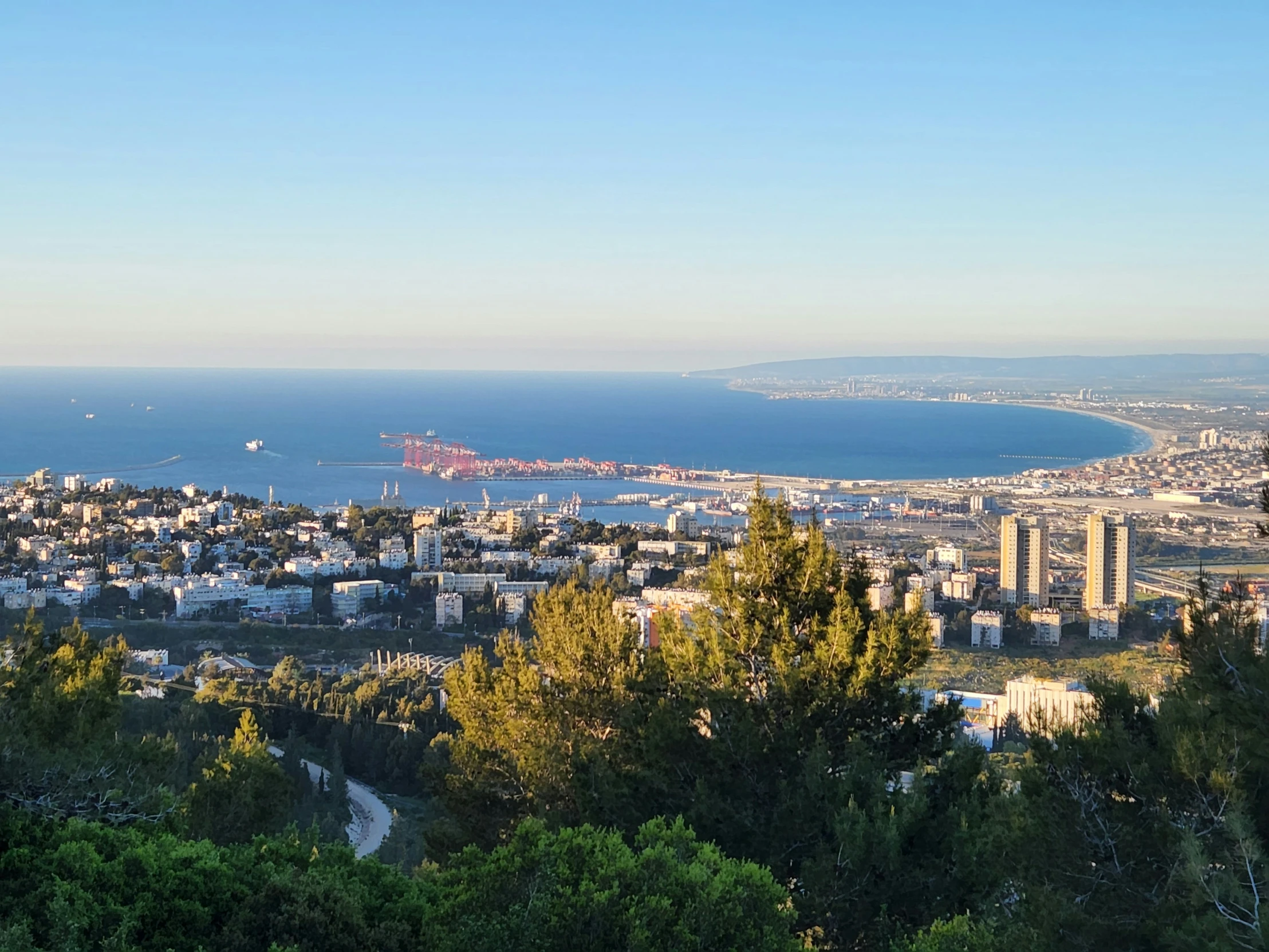 a city by the water near many trees