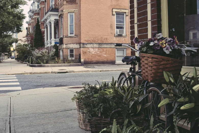 a bicycle is parked on the curb by some flowers