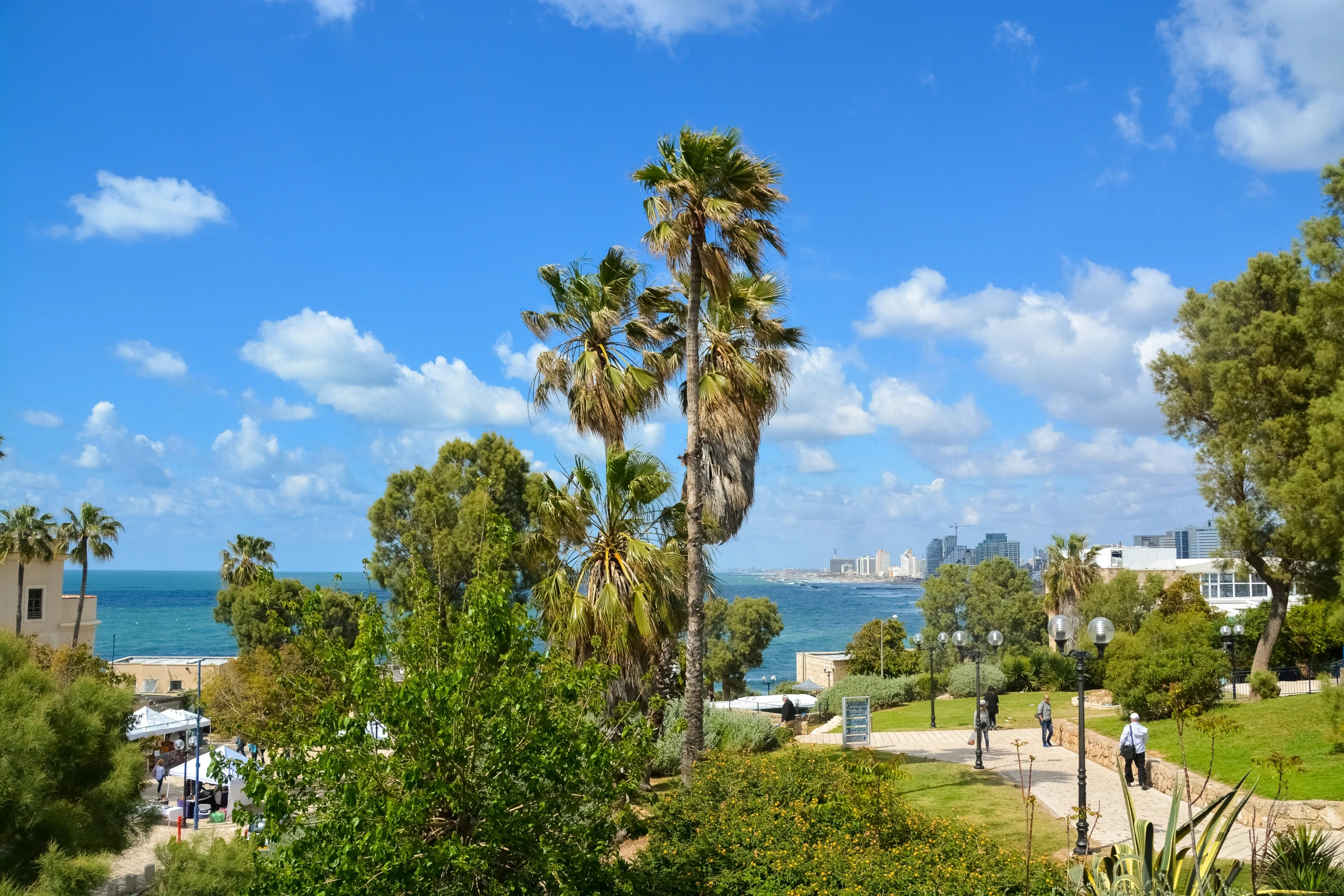 the beach and ocean view is framed by palm trees