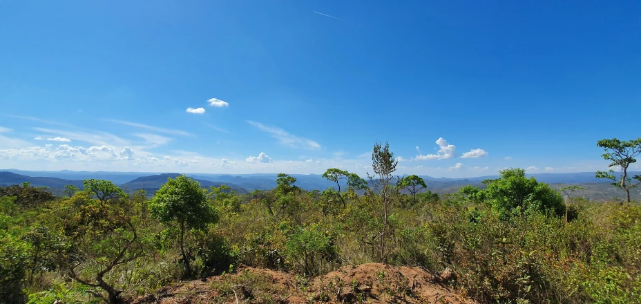 the sky over some bushes and trees is shown