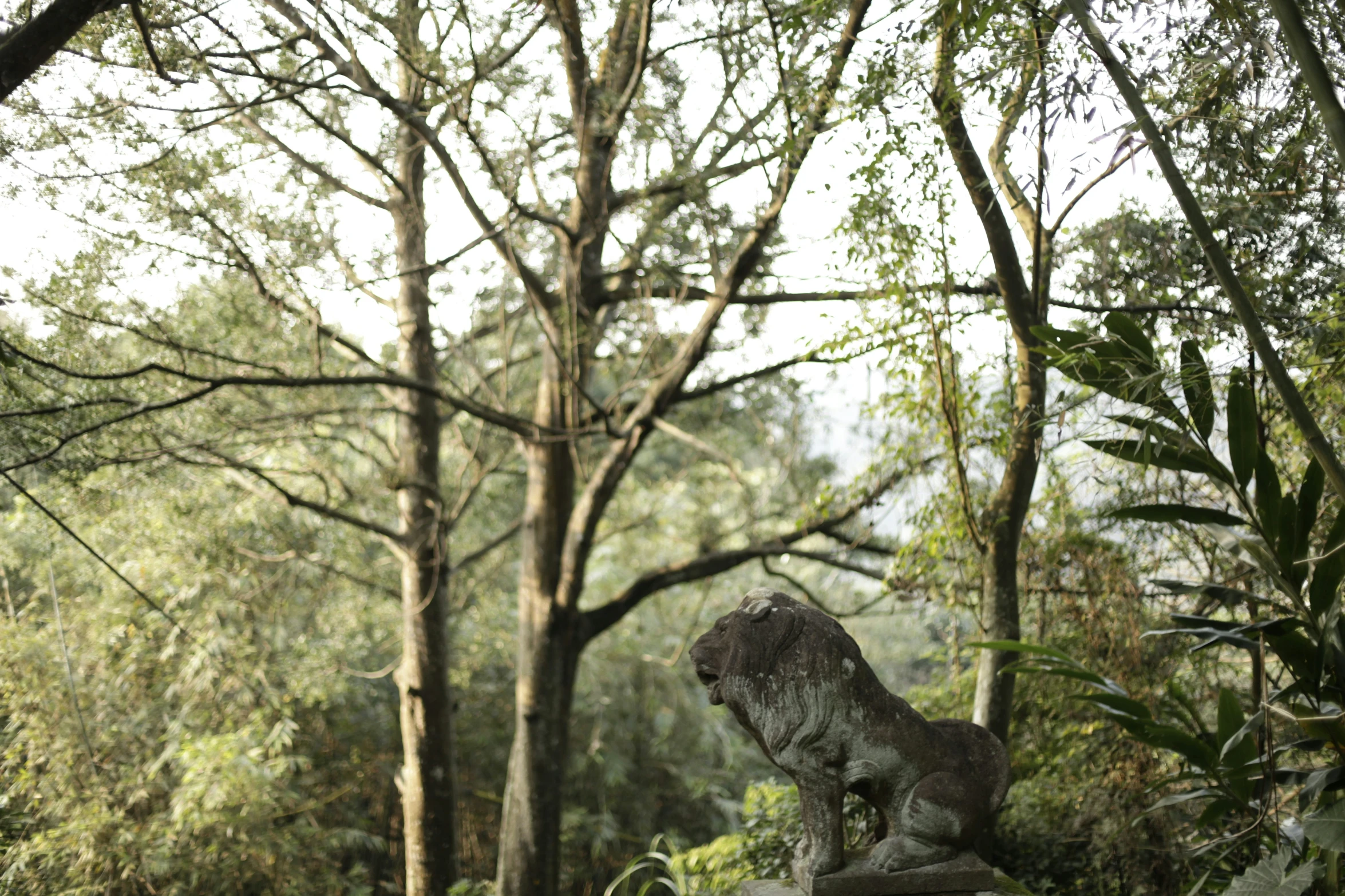 this is a stone statue that looks like a lion