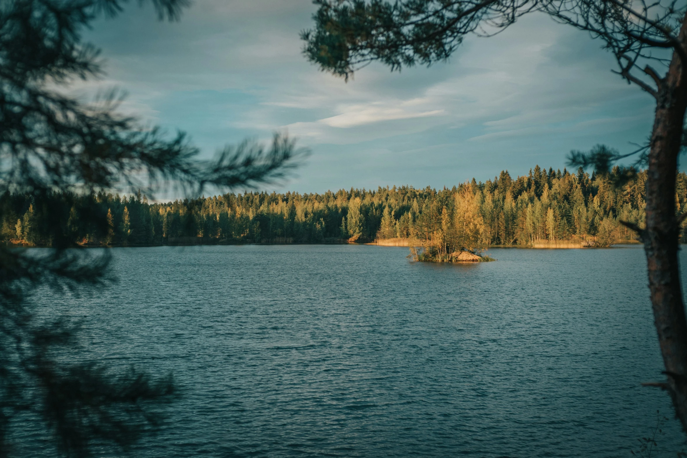 the trees are next to the lake and small island