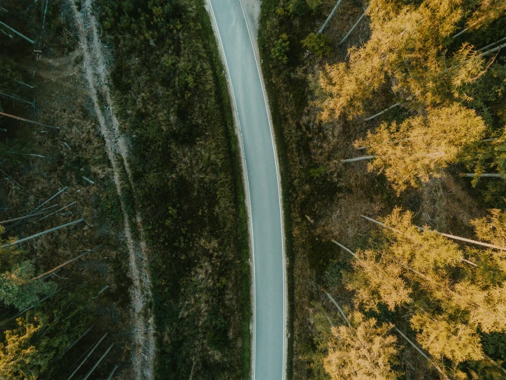 aerial view of a winding country road in a forest