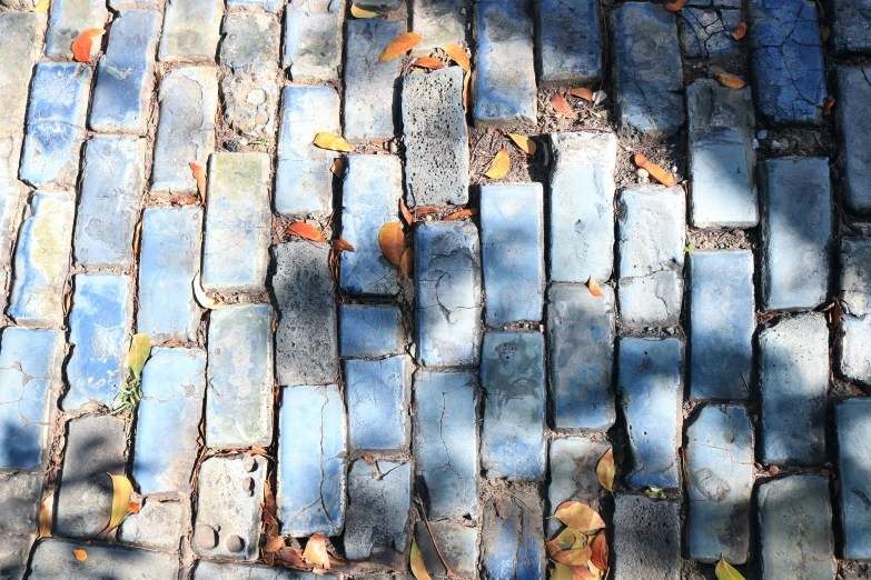 blue tile sitting on top of a wooden sidewalk