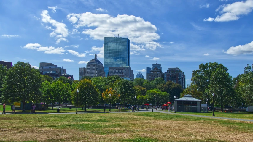 there is a lot of grass and trees near the buildings