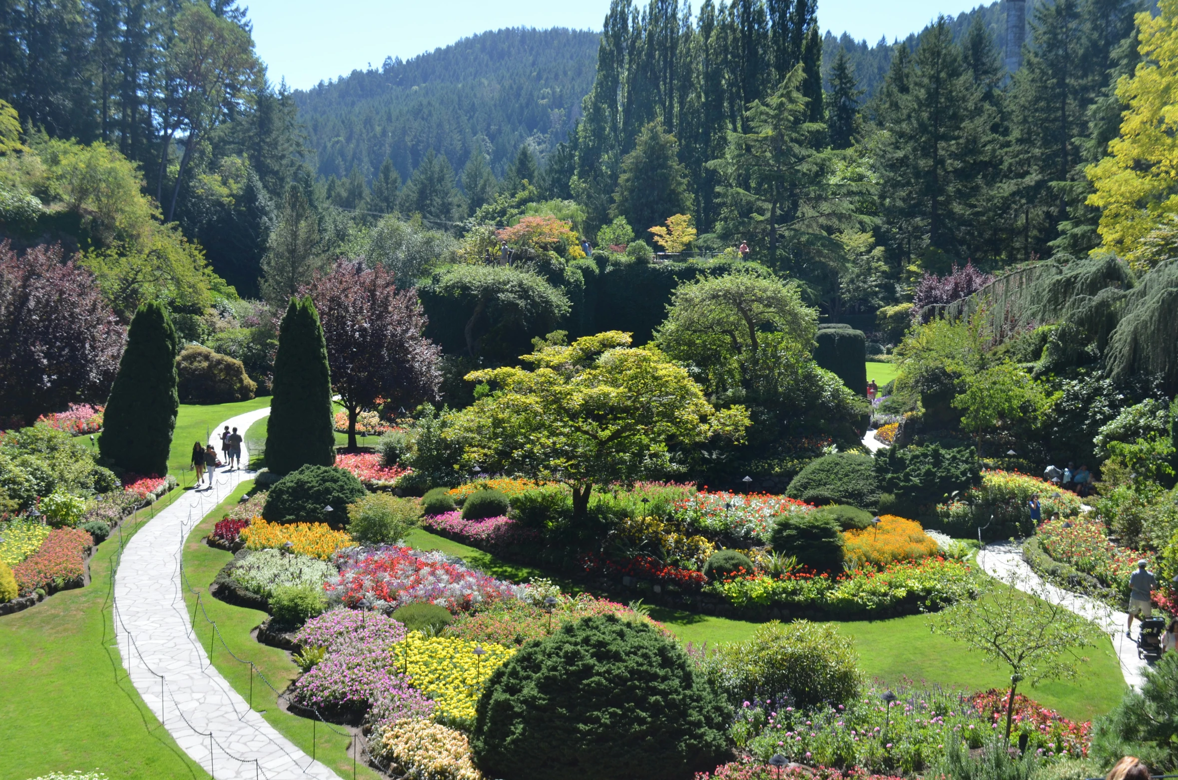 a garden scene with flowers, trees and bushes