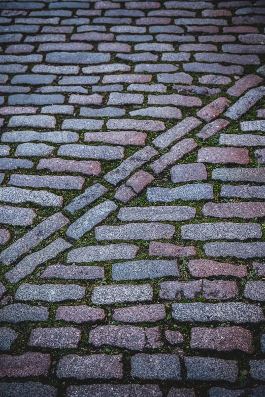 an empty walking path made of pavement brick