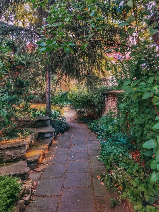 a pathway that has steps leading to trees